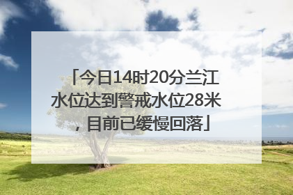 今日14时20分兰江水位达到警戒水位28米，目前已缓慢回落
