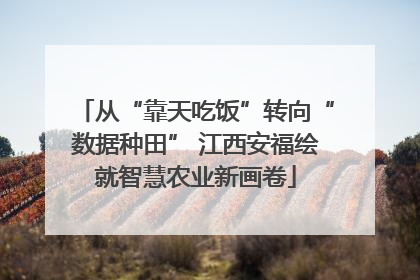 从“靠天吃饭”转向“数据种田” 江西安福绘就智慧农业新画卷