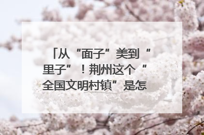 从“面子”美到“里子”！荆州这个“全国文明村镇”是怎样炼成的？