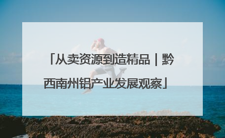 从卖资源到造精品｜黔西南州铝产业发展观察