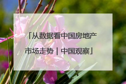 从数据看中国房地产市场走势｜中国观察