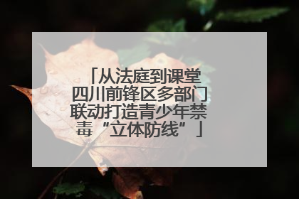 从法庭到课堂 四川前锋区多部门联动打造青少年禁毒“立体防线”
