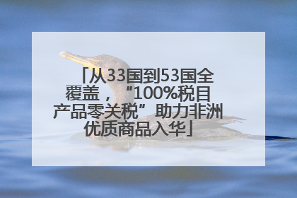 从33国到53国全覆盖，“100%税目产品零关税”助力非洲优质商品入华