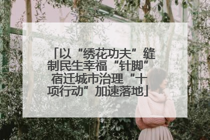以“绣花功夫”缝制民生幸福“针脚” 宿迁城市治理“十项行动”加速落地