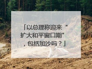 以总理称迎来“扩大和平窗口期”，包括加沙吗？