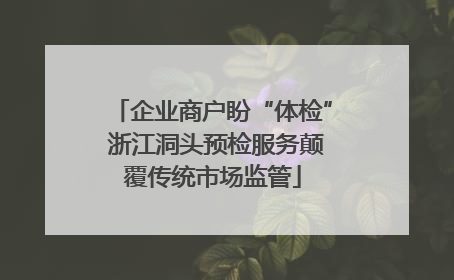 企业商户盼“体检” 浙江洞头预检服务颠覆传统市场监管
