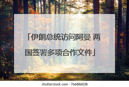 伊朗总统访问阿曼 两国签署多项合作文件