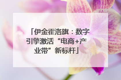 伊金霍洛旗：数字引擎激活“电商+产业带”新标杆