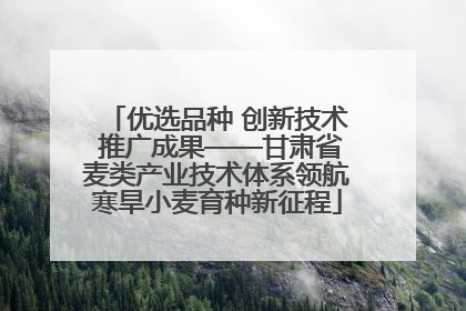 优选品种 创新技术 推广成果——甘肃省麦类产业技术体系领航寒旱小麦育种新征程