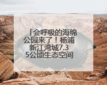 会呼吸的海绵公园来了！杨浦新江湾城7.35公顷生态空间改造焕新