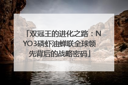双冠王的进化之路：NYO3磷虾油蝉联全球领先背后的战略密码
