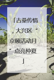 古桑传情，大兴区“京颐活动月”点亮仲夏