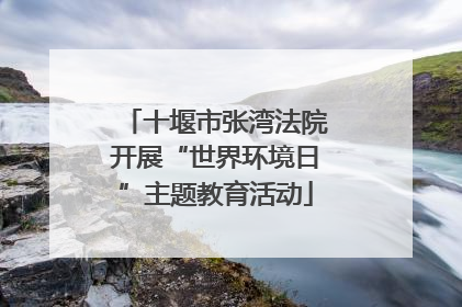 十堰市张湾法院开展“世界环境日”主题教育活动