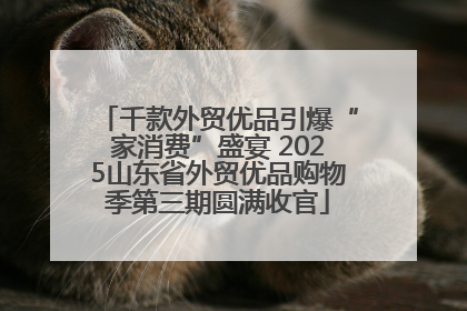 千款外贸优品引爆“家消费”盛宴 2025山东省外贸优品购物季第三期圆满收官