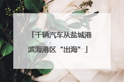 千辆汽车从盐城港滨海港区“出海”
