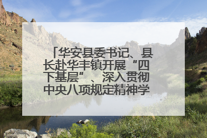 华安县委书记、县长赴华丰镇开展“四下基层”、深入贯彻中央八项规定精神学习教育工作调研