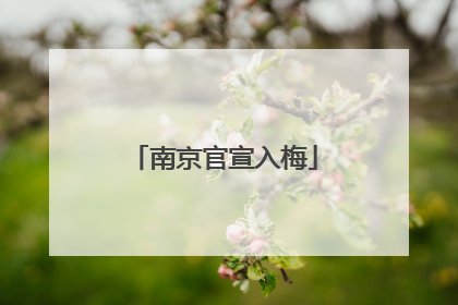南京官宣入梅