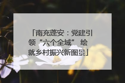 南充蓬安：党建引领“六个全域” 绘就乡村振兴新图景