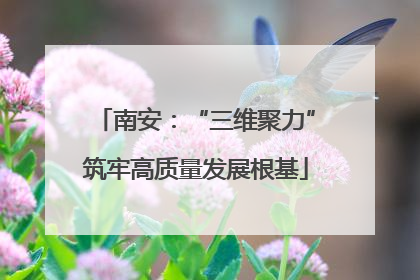 南安：“三维聚力”筑牢高质量发展根基