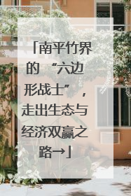 南平竹界的 “六边形战士”，走出生态与经济双赢之路→