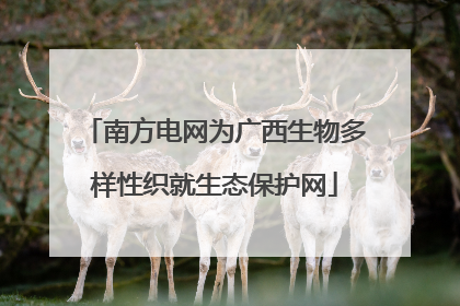 南方电网为广西生物多样性织就生态保护网
