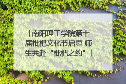 南阳理工学院第十一届枇杷文化节启幕 师生共赴“枇杷之约”