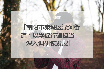 南阳市宛城区溧河街道：以学促行强担当 深入调研谋发展