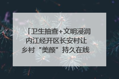 卫生抽查+文明浸润 内江经开区长安村让乡村“美颜”持久在线｜万千气象看四川