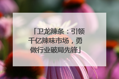 卫龙辣条：引领千亿辣味市场，勇做行业破局先锋