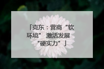 克东：营商“软环境” 激活发展“硬实力”