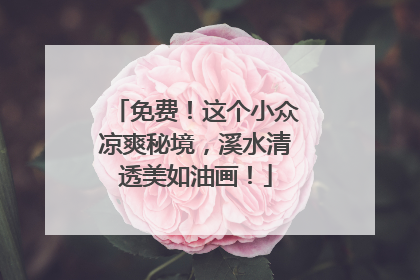 免费！这个小众凉爽秘境，溪水清透美如油画！