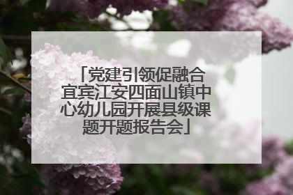 党建引领促融合 宜宾江安四面山镇中心幼儿园开展县级课题开题报告会