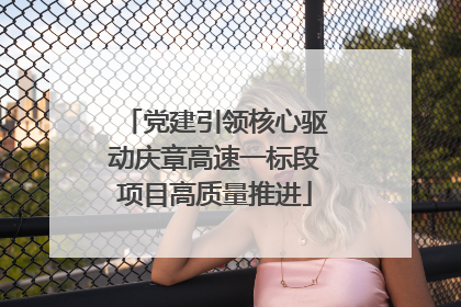 党建引领核心驱动庆章高速一标段项目高质量推进