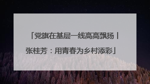 党旗在基层一线高高飘扬丨张桂芳：用青春为乡村添彩