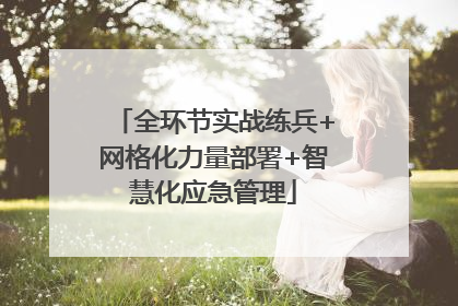 全环节实战练兵+网格化力量部署+智慧化应急管理