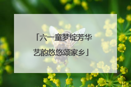 六一童梦绽芳华 艺韵悠悠颂家乡
