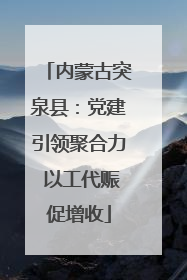 内蒙古突泉县：党建引领聚合力 以工代赈促增收