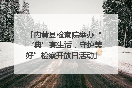 内黄县检察院举办“‘典’亮生活，守护美好”检察开放日活动