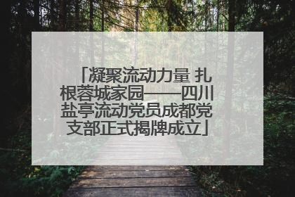 凝聚流动力量 扎根蓉城家园——四川盐亭流动党员成都党支部正式揭牌成立