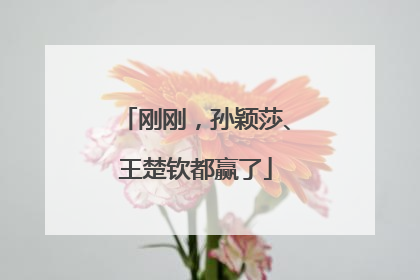刚刚，孙颖莎、王楚钦都赢了