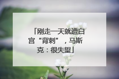 刚走一天就遭白宫“背刺”，马斯克：很失望