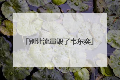 别让流量毁了韦东奕