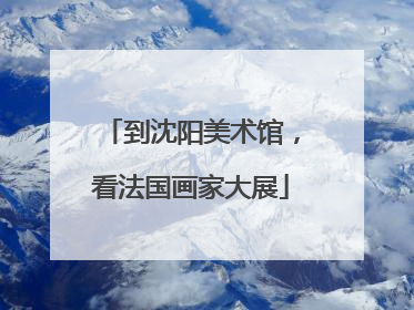到沈阳美术馆，看法国画家大展