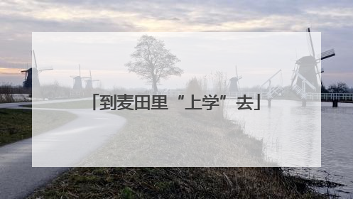 到麦田里“上学”去