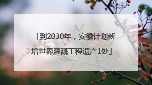 到2030年，安徽计划新增世界灌溉工程遗产1处