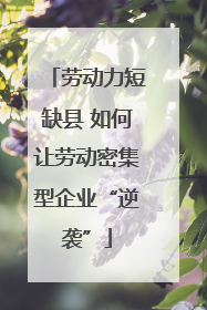 劳动力短缺县 如何让劳动密集型企业“逆袭”