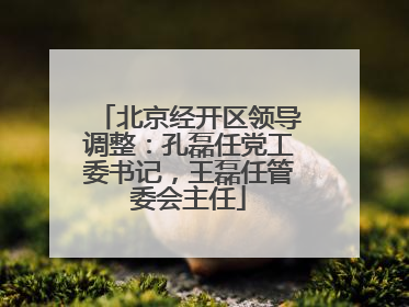 北京经开区领导调整：孔磊任党工委书记，王磊任管委会主任