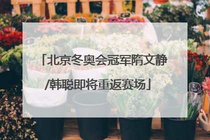 北京冬奥会冠军隋文静/韩聪即将重返赛场