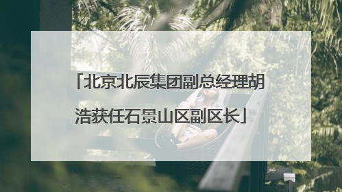 北京北辰集团副总经理胡浩获任石景山区副区长
