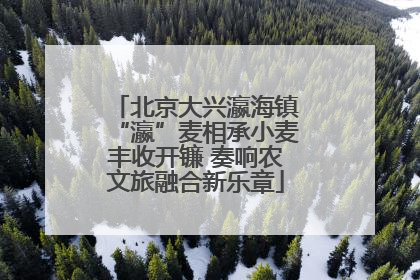 北京大兴瀛海镇“瀛”麦相承小麦丰收开镰 奏响农文旅融合新乐章